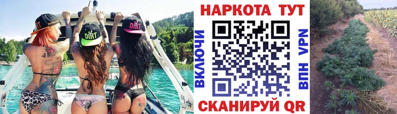 Где купить наркотики Кстово ГАШ  Cocaine  Меф мяу мяу  Амфетамин  Канабис  А ПВП 