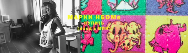 крисы Новозыбков
