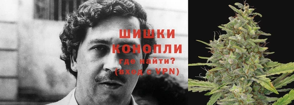 каннабис Новодвинск