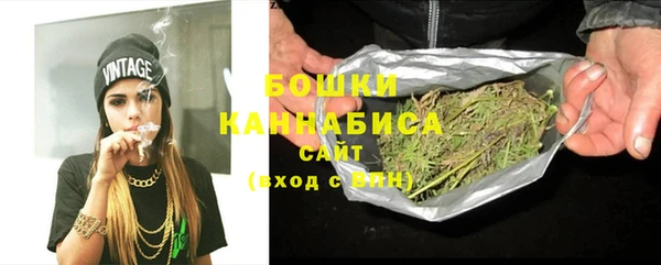 крисы Новозыбков