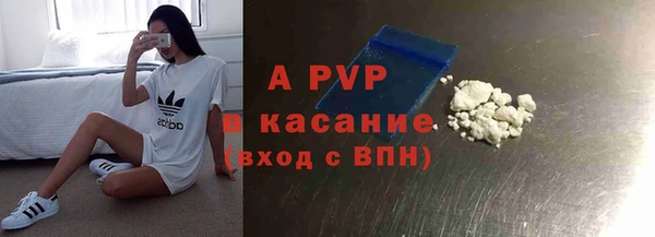 крисы Новозыбков