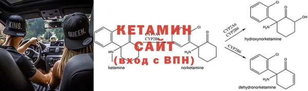 крисы Новозыбков