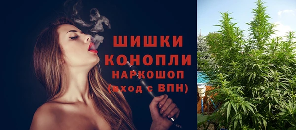 MDMA Няндома