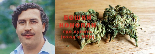 крисы Новозыбков