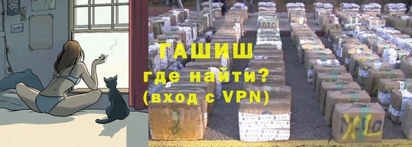 крисы Новозыбков